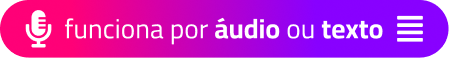 Funciona por áudio ou texto